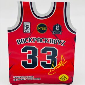 50 Backpack Boyz 33 3.5-gram Empty Mylar bags