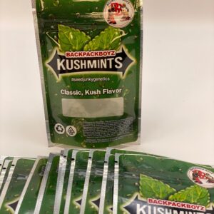 Kushmints Empty Bage 3.5 gram